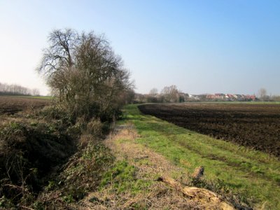 20130303Alter_Kraichbach_Hockenheim1