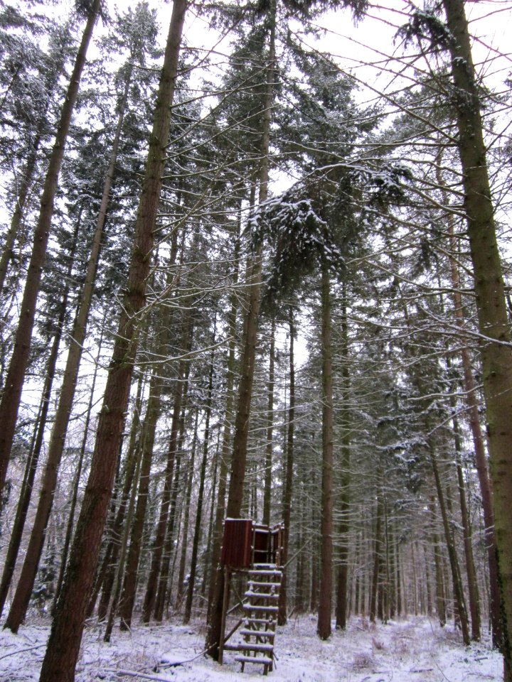 20130117Untere_Lusshart10