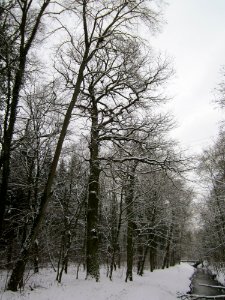 20130117Untere_Lusshart04
