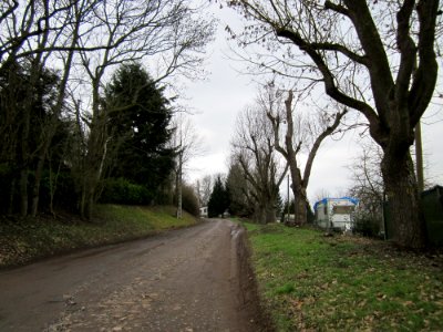 20130217Alte_Eschen_Saarbruecken1