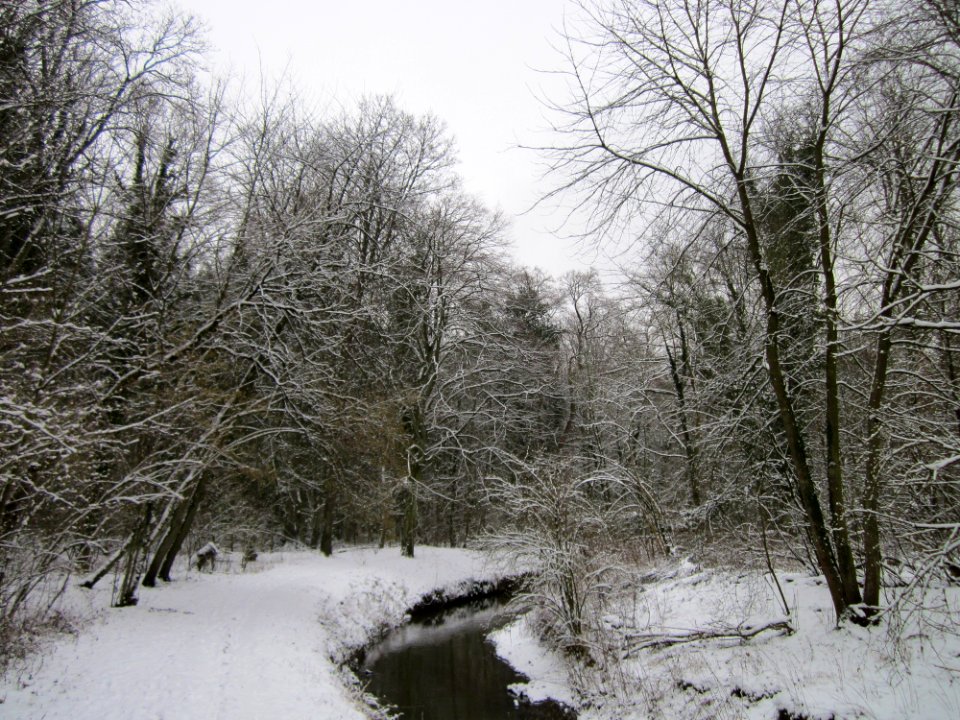 20130117Untere_Lusshart05