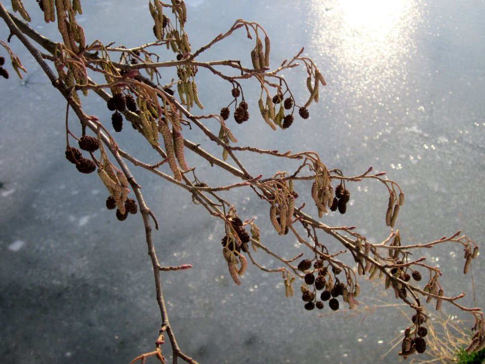 20130126Osthafen_Saarbruecken6