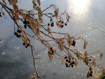 20130126Osthafen_Saarbruecken6