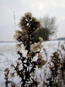 20130118Feinstrahl_Hockenheim2