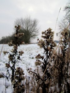 20130118Feinstrahl_Hockenheim3