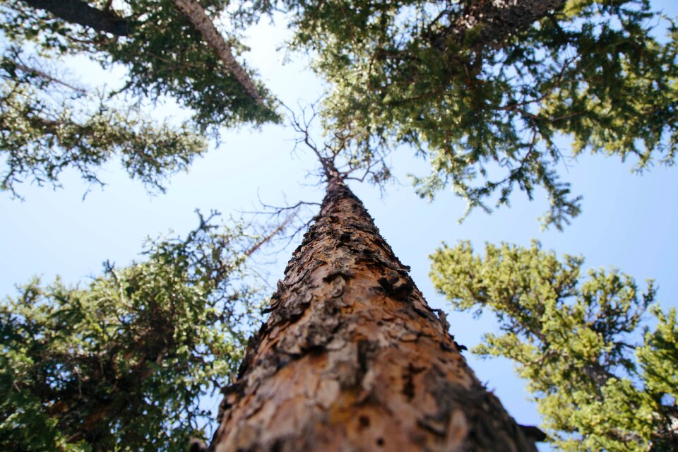 Nature outdoors perspective