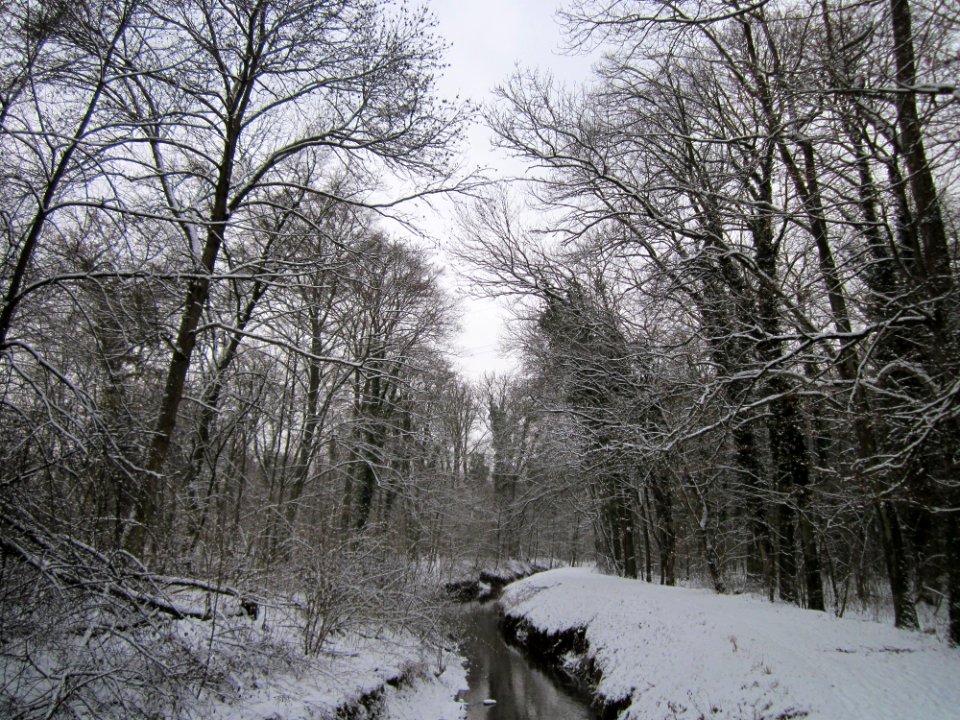 20130117Untere_Lusshart06