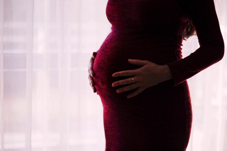 Pregnant lady female
