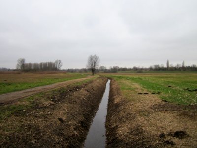 20130109Karl_Ludwig_See