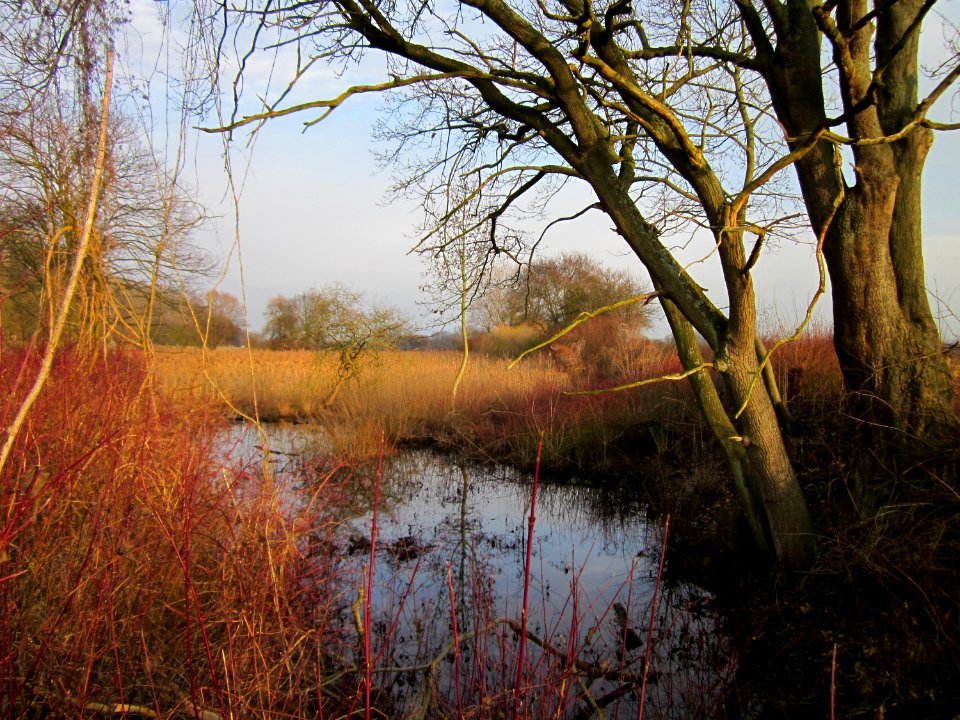 20130107Schleiwiese1