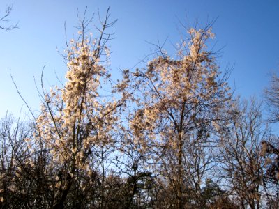 20130210Spaten07