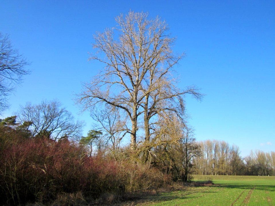 20130210Spaten08