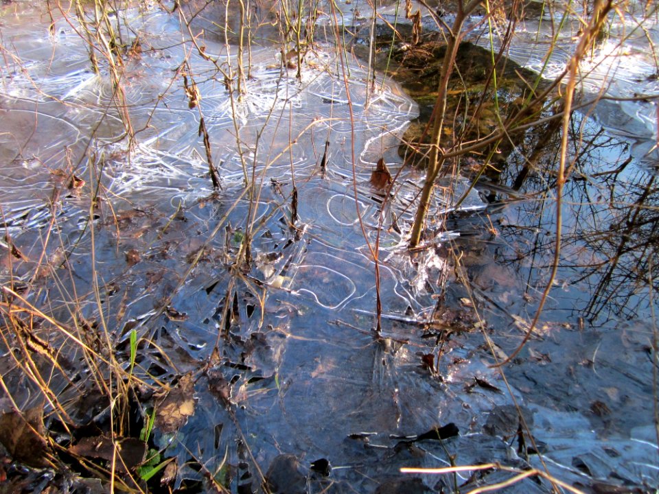 20130210Spaten15