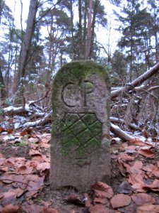 20130113Grenzstein_Hockenheim2