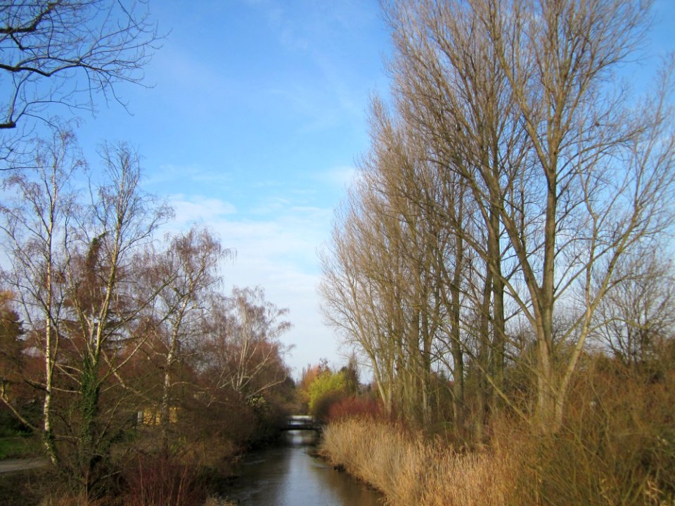 20130107Kraichbach_Hockenheim