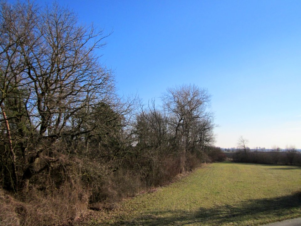 20130210Spaten02