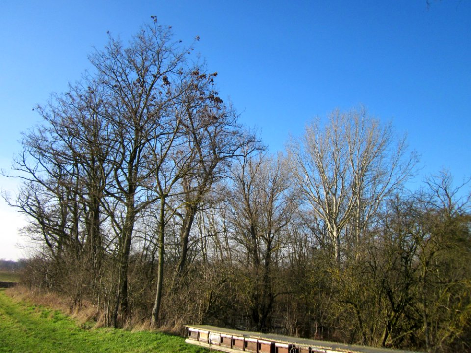 20130210Spaten04