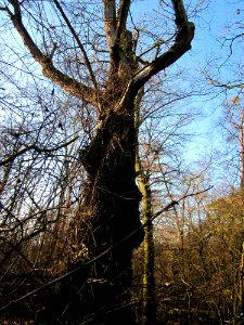 20130210Spaten13