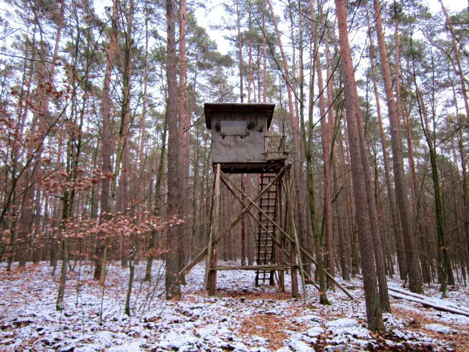 20130113Hoher_Stein05