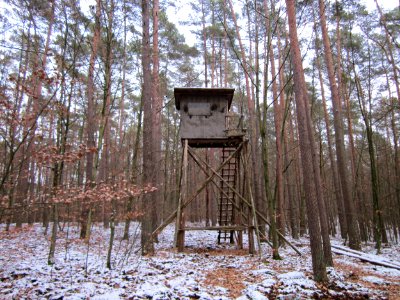 20130113Hoher_Stein05
