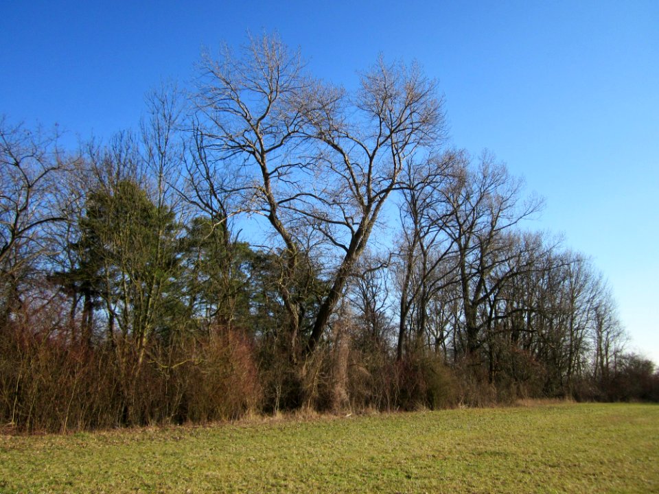 20130210Spaten03