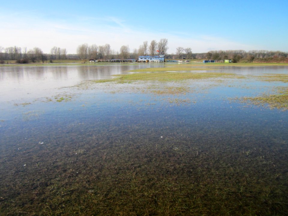 20130210Herrenteich2