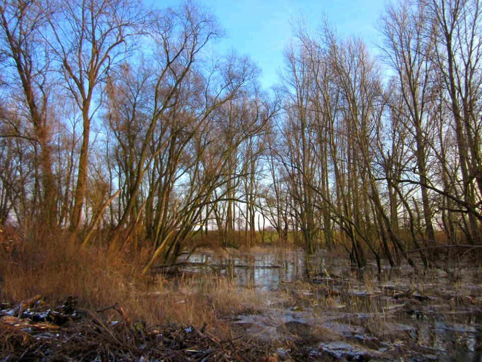 20130210Tongrube_Neuwiesen3