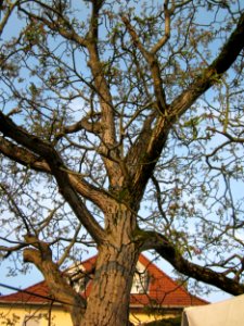 20130504Blaues_Loch_Schwetzingen4
