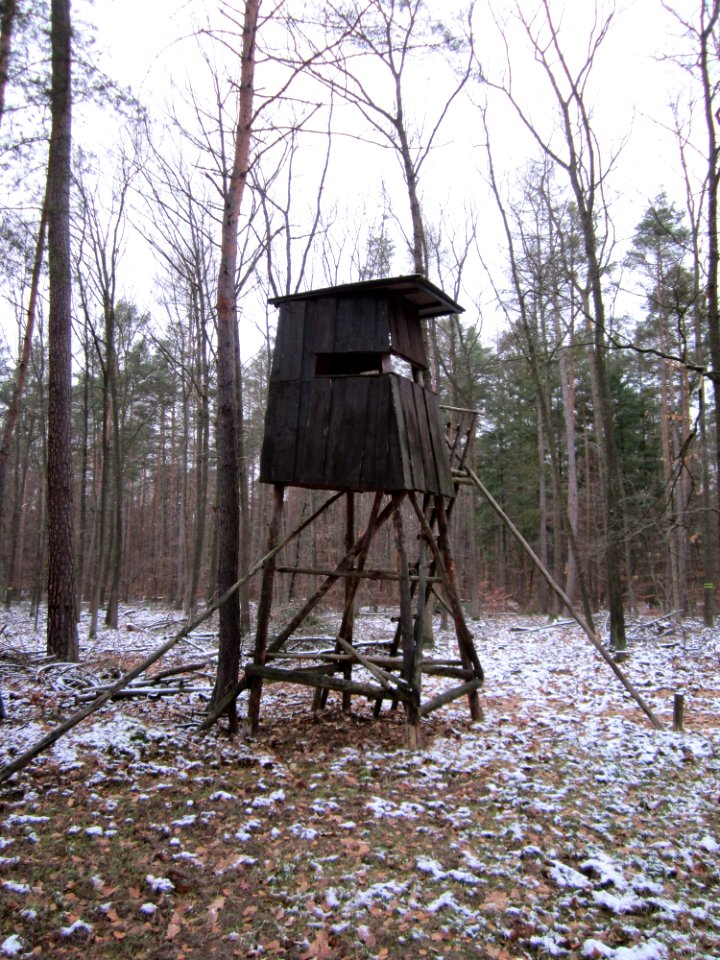 20130113Hochsitz_Reilinger_Eck1