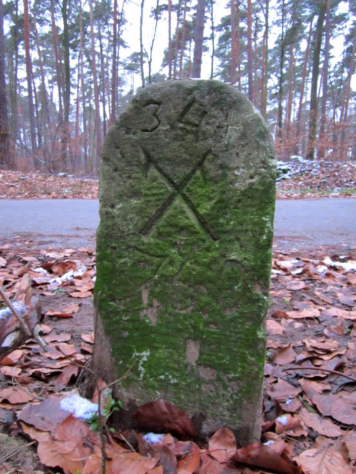 20130113Grenzstein_Hockenheim3