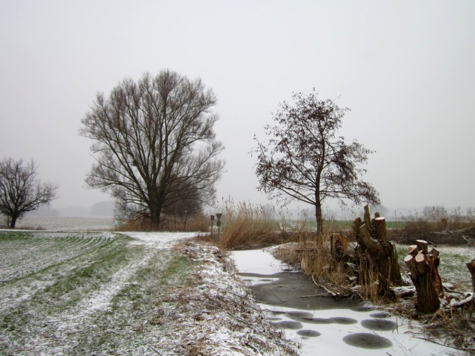20130116Hockenheimer_Rheinbogen07