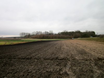 20130110Feld_Reilingen