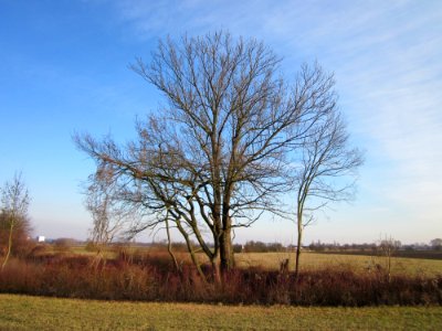 20130210Schleiwiese2