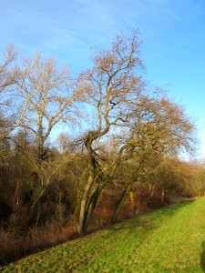 20130210Tongrube_Neuwiesen6