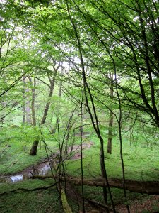 20130509Habsterwiesen_Saarbruecken18