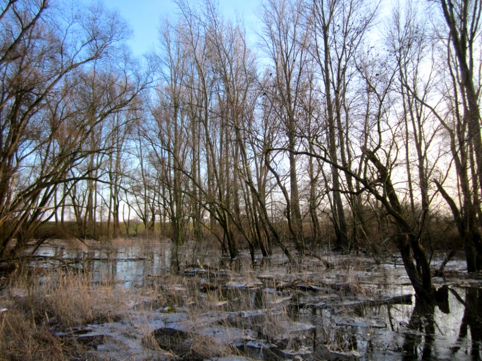 20130210Tongrube_Neuwiesen1
