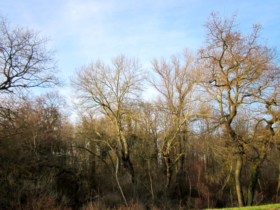 20130210Tongrube_Neuwiesen4