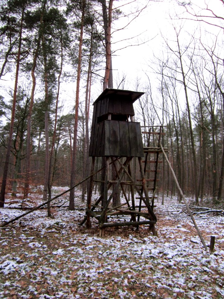 20130113Hochsitz_Reilinger_Eck2