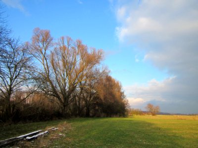 20130114Matthaeuswiesen1