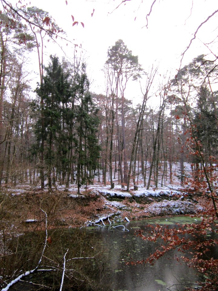 20130113Wasserloch_Hoher_Stein2
