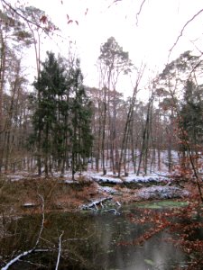 20130113Wasserloch_Hoher_Stein2