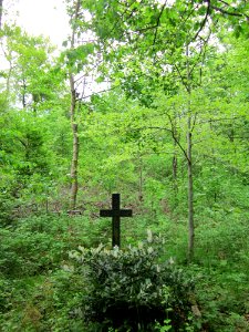 20130509Habsterwiesen_Saarbruecken09