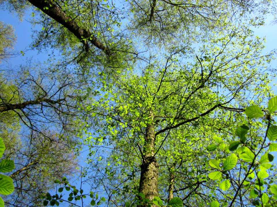 20130425Marlach06