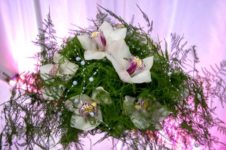 Exceptional moment flower arrangement handicrafts photo