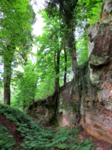 20130509Drahtzug_Saarbruecken4