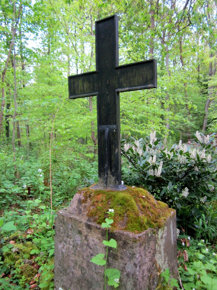 20130509Habsterwiesen_Saarbruecken12