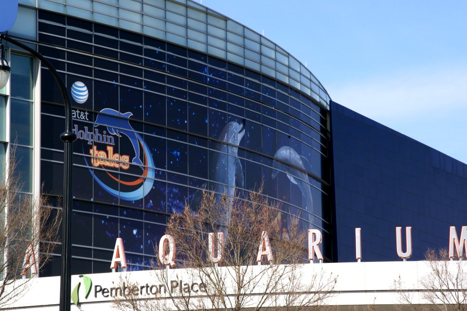 2013.01.26.113251_Georgia_Aquarium_Atlanta_Georgia
