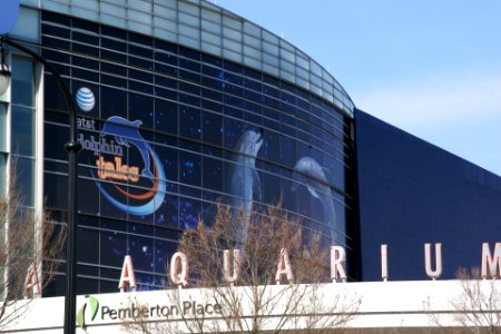 2013.01.26.113251_Georgia_Aquarium_Atlanta_Georgia