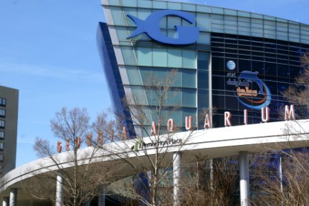 2013.01.26.113333_Georgia_Aquarium_Atlanta_Georgia