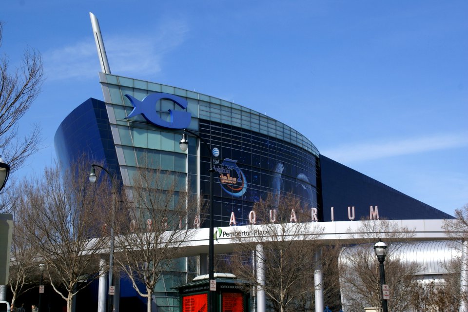2013.01.26.113234_Aquarium_Atlanta_Georgia
